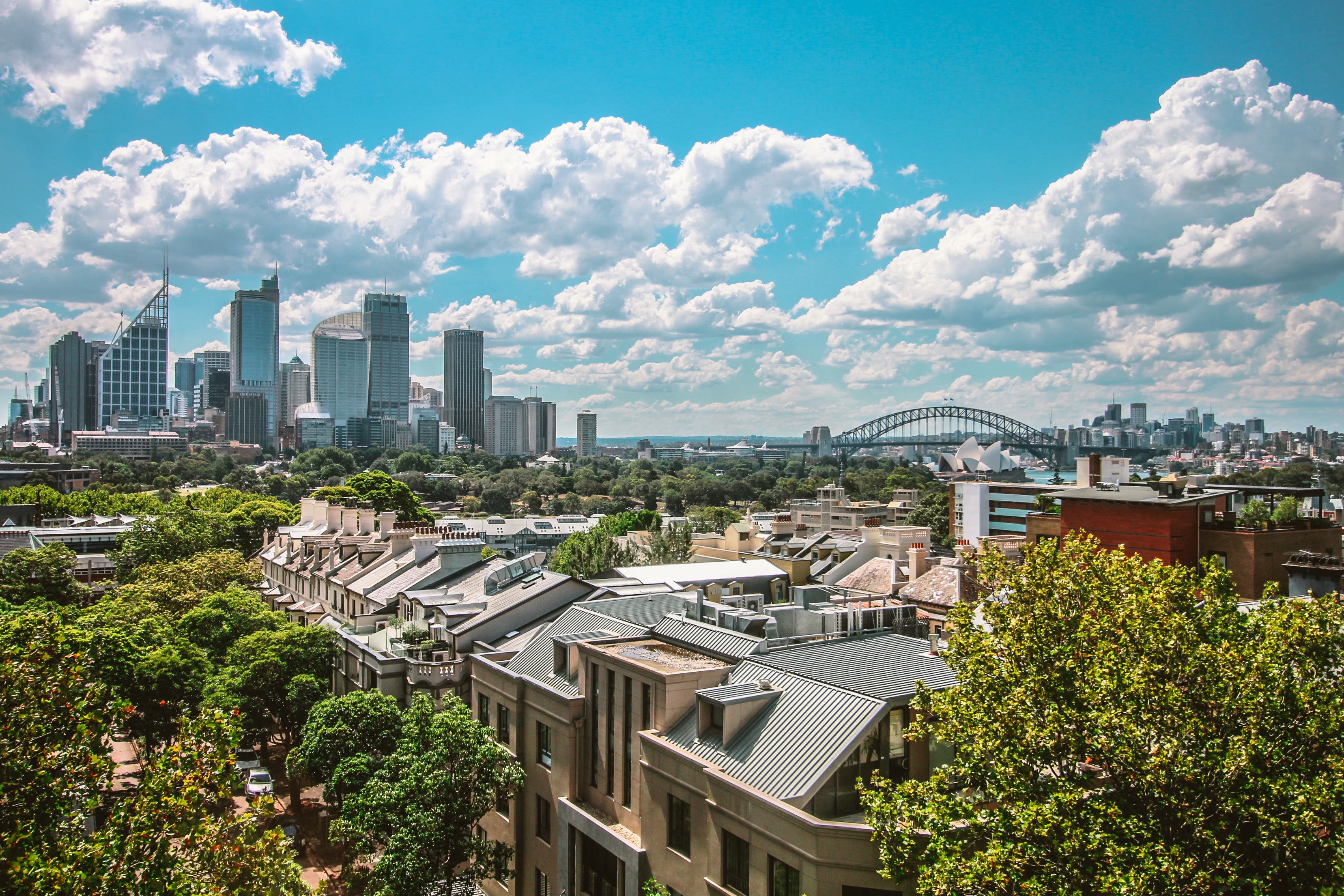 Sydney skyline with houses and trees in the foreground