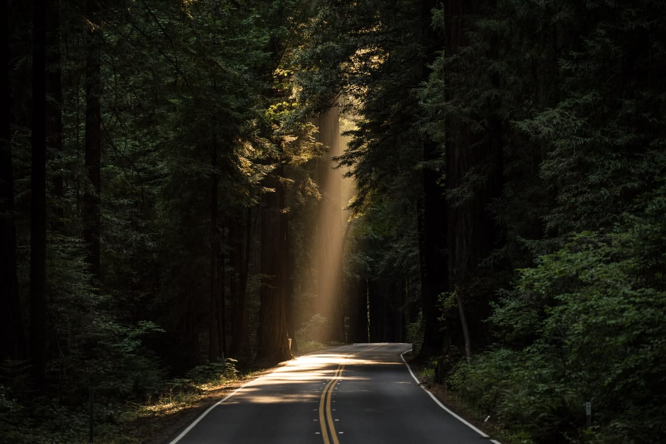 Sentiero illuminato dai raggi del sole